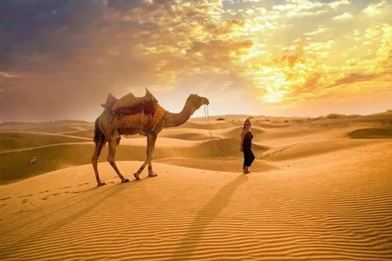 Stunning Evening Desert Safari Dubai