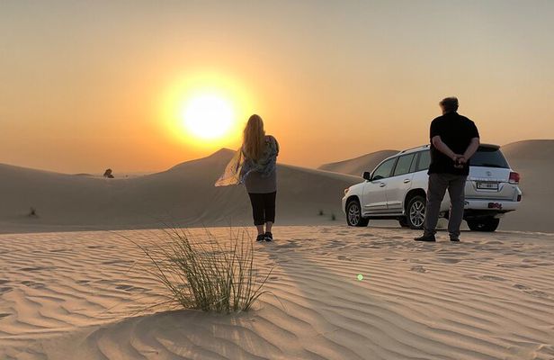 Morning Desert Safari Tour