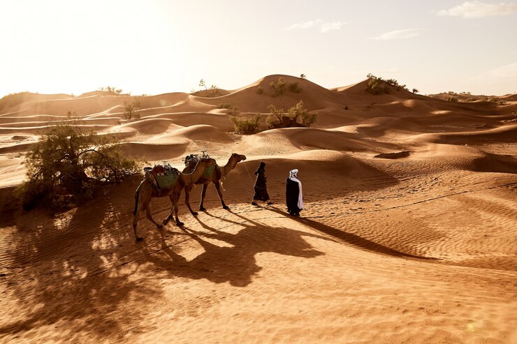 Evening Desert Safari Dubai