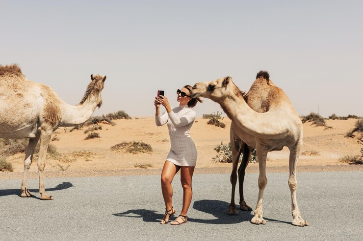 Evening Sun Set Desert Safari Dubai